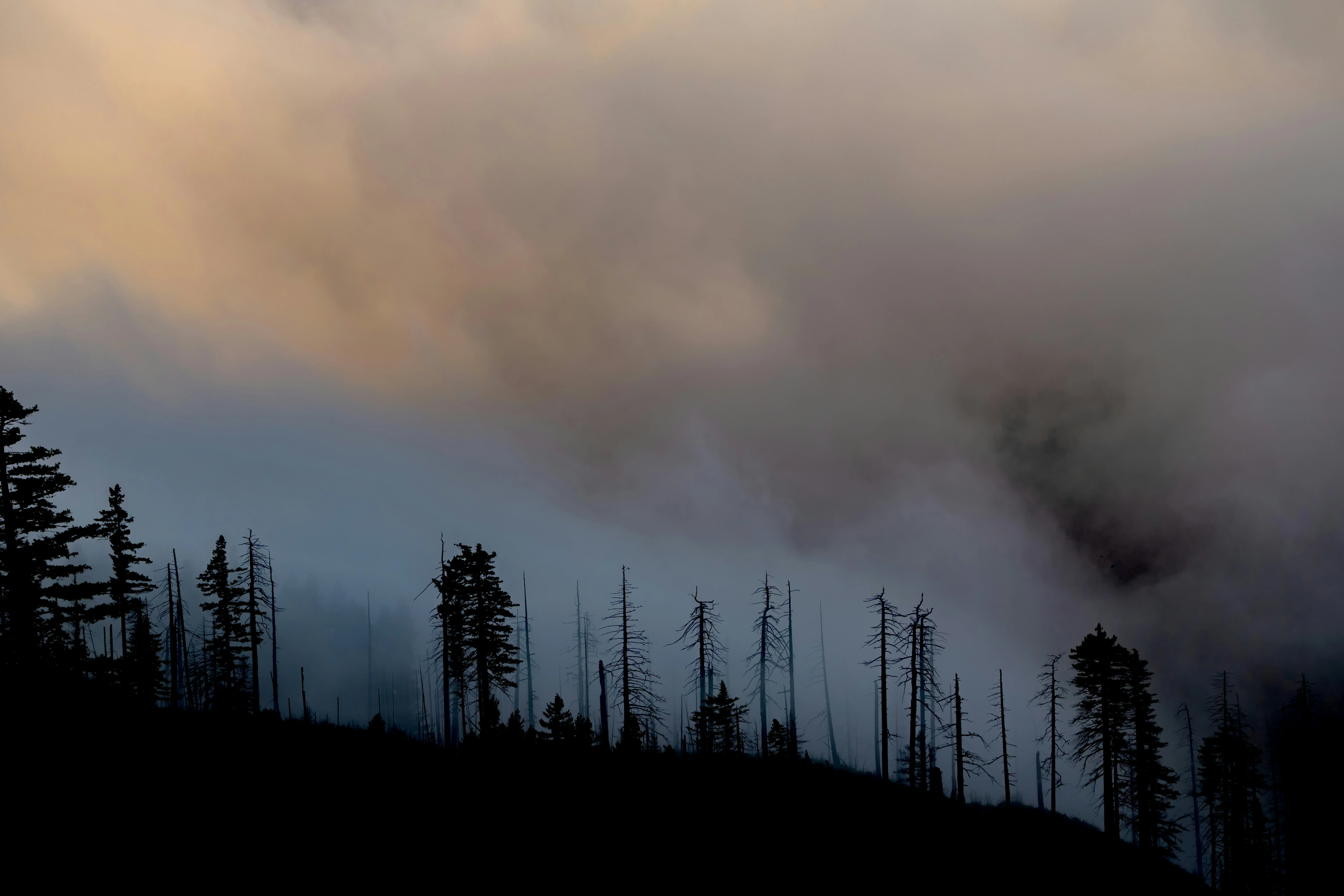 Wildfire smoke outside