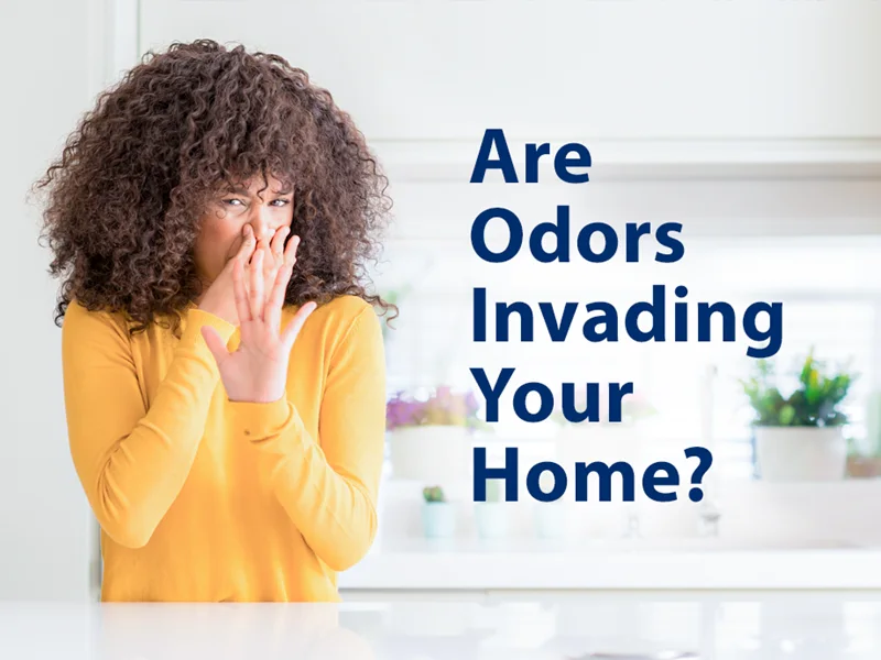 Home interior representing home odor removal services