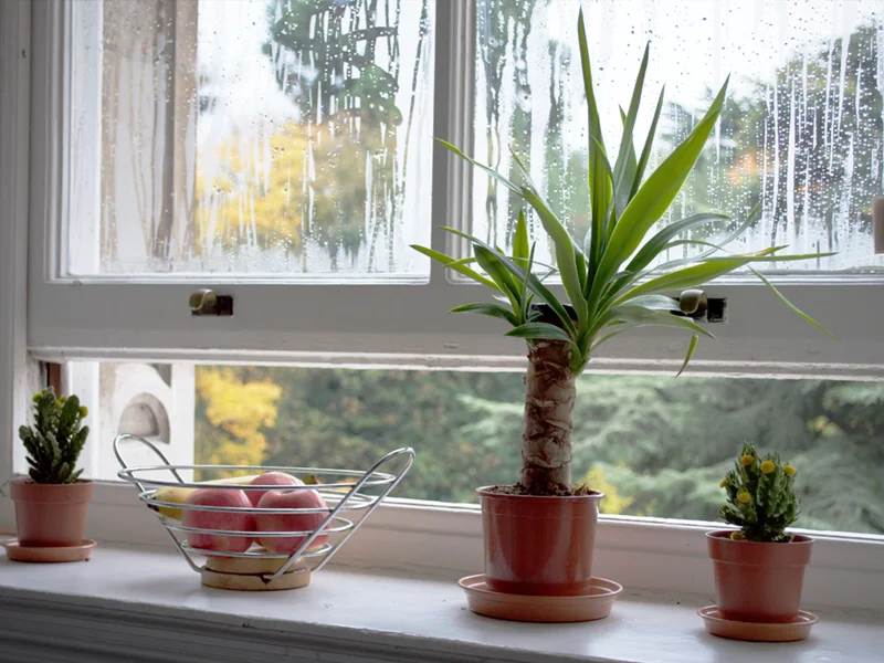 Interior space representing humidity control solutions